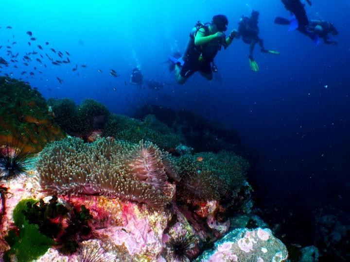 探索153÷0等于多少？，解锁你的知识星球之旅